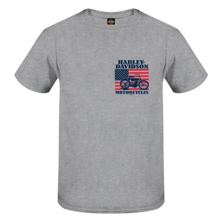 HD MEN'S 1903 FLAG DEALER TEE 3001769