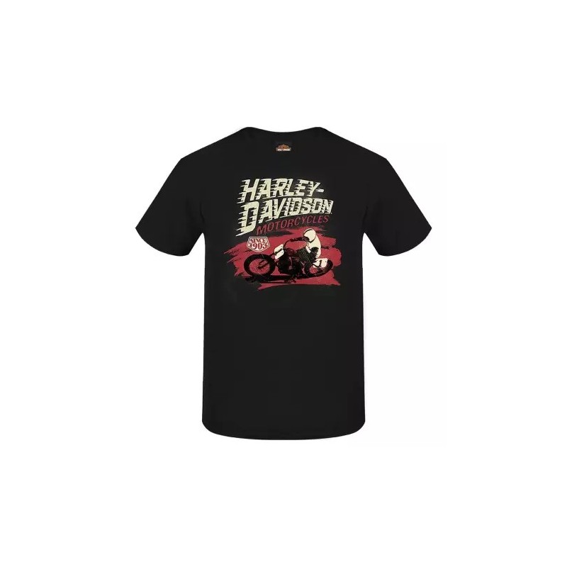 Harley-Davidson men´s T-Shirt Fast Track black R004438V