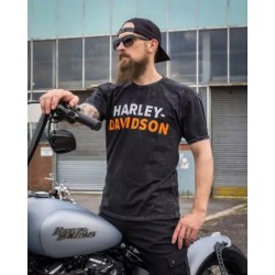 Harley-Davidson men´s T-Shirt H-D Name black R004536V