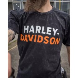 Harley-Davidson men´s T-Shirt H-D Name black R004536V