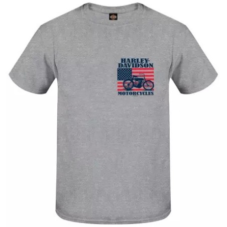 Harley-Davidson men´s T-Shirt 1903 Flag grey 3001769-HTGY