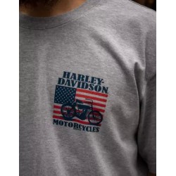 Harley-Davidson men´s T-Shirt 1903 Flag grey 3001769-HTGY