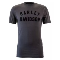 Harley-Davidson T-Shirt Staple dark grey 99069-22VM