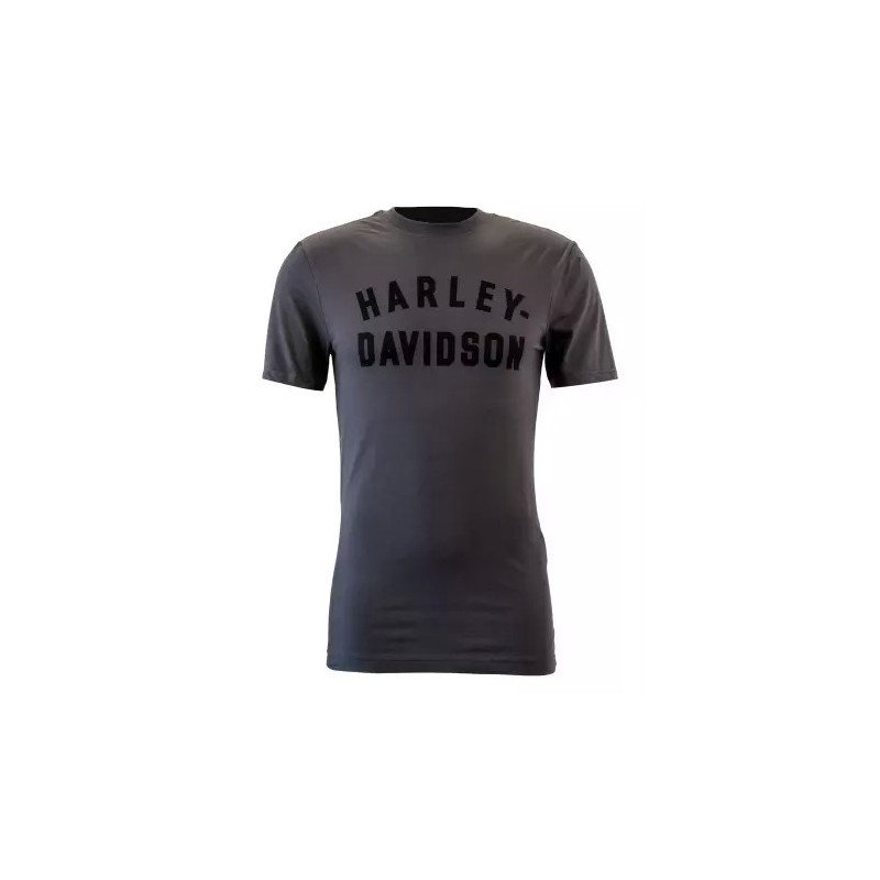 Harley-Davidson T-Shirt Staple dark grey 99069-22VM