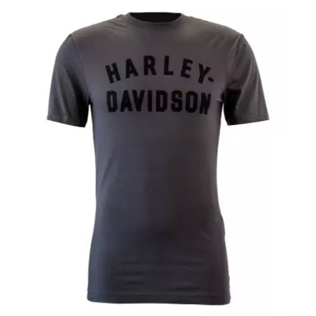 Harley-Davidson T-Shirt Staple dark grey 99069-22VM