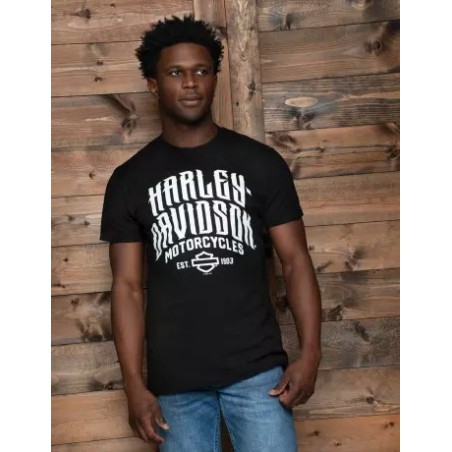 Harley-Davidson men´s T-Shirt Cinch black 40291500V