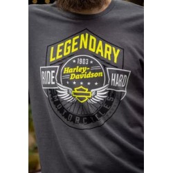 Harley-Davidson men´s T-Shirt Motorcycle Shield grey 3001779-CHAH