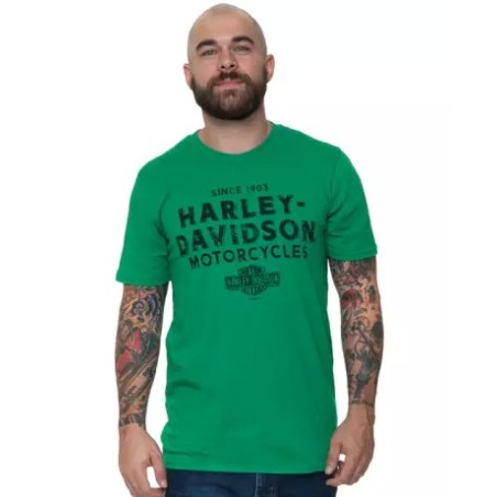 Harley-Davidson men´s T-Shirt More Oil green 40291508V