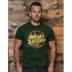 Harley-Davidson men´s T-Shirt Alarm green 40291493V