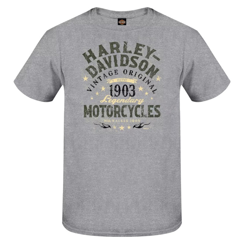 Harley-Davidson men´s T-Shirt Tall Word grey 3001705-HTGY