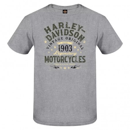 Harley-Davidson men´s T-Shirt Tall Word grey 3001705-HTGY