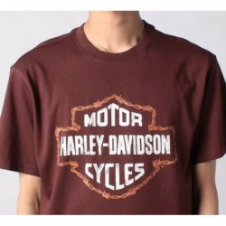 Harley-Davidson T-Shirt Arise brown 96798-23VM