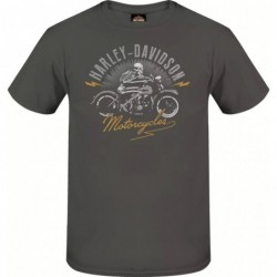 Harley-Davidson men´s T-Shirt Zippy grey 3000341-ASPH