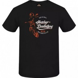 Harley-Davidson men´s T-Shirt Joy Ride black R004680V