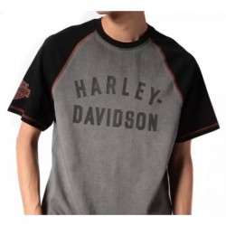 Harley-Davidson T-Shirt Iron Bond Reglan grey/black 99001-23VM