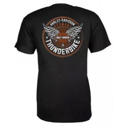 Harley-Davidson men´s T-Shirt Blocky grey R004689V