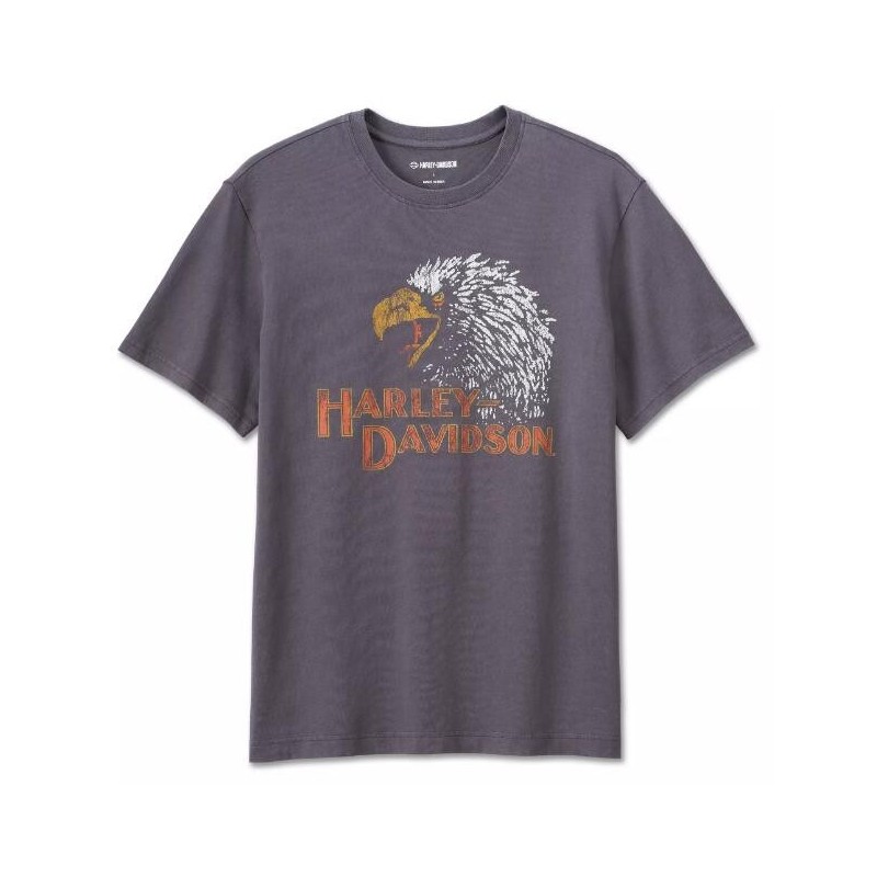 Harley-Davidson T-Shirt Classic Eagle grey 96797-23VM