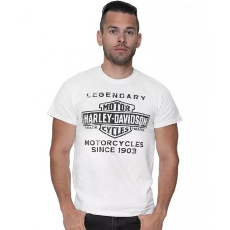 Harley-Davidson men´s T-Shirt Spent white 40291503V