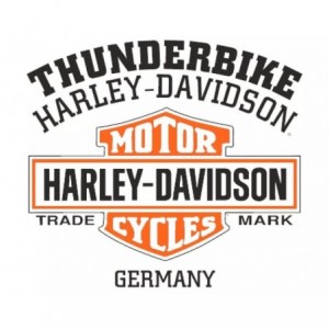 Harley-Davidson men´s T-Shirt Spent white 40291503V