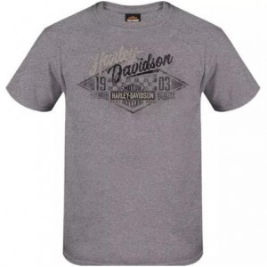 Harley-Davidson men´s T-Shirt Quality Check grey R004449V