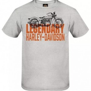 Harley-Davidson men´s T-Shirt Legendary grey R004685V