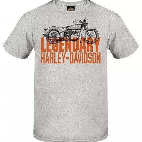 Harley-Davidson men´s T-Shirt Legendary grey R004685V