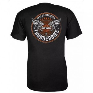 Harley-Davidson men´s T-Shirt Legendary grey R004685V