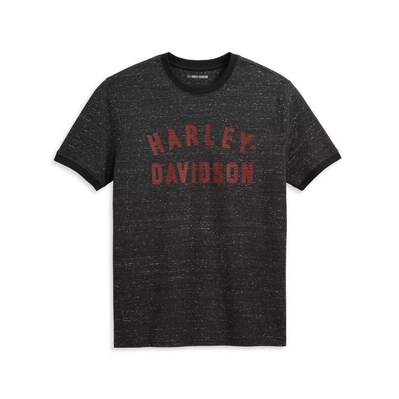 Harley-Davidson men´s T-Shirt Staple Snow black 96067-23VM