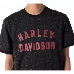 Harley-Davidson men´s T-Shirt Staple Snow black 96067-23VM