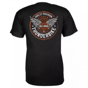 Harley-Davidson men´s T-Shirt Ink black R004688V