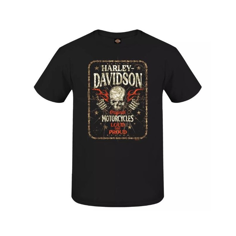 Harley-Davidson men´s T-Shirt Down Face black