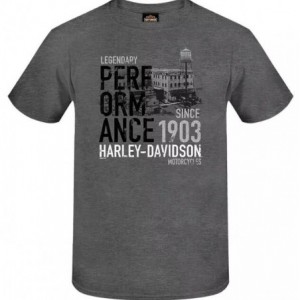 Harley-Davidson men´s T-Shirt Performance grey R004671V